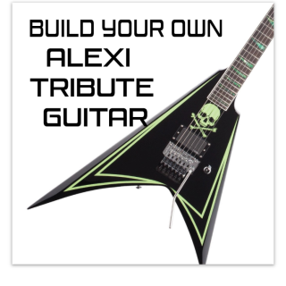 DIY Alex l guitar plans