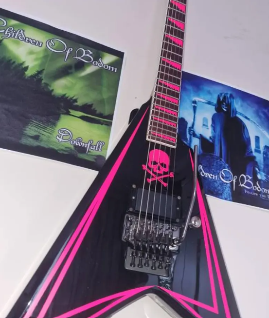 LTD Alexi 200 Pinstripe Guitar Graphics Kit. - Image 13
