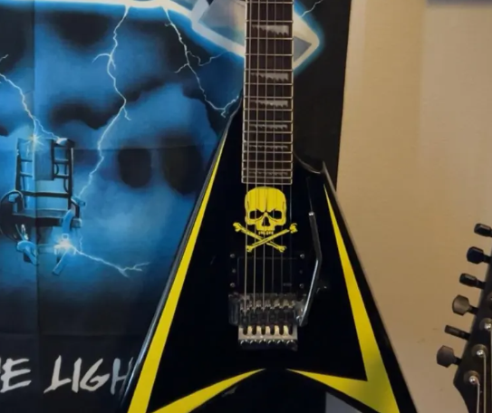 LTD Alexi 200 Pinstripe Guitar Graphics Kit. - Image 11